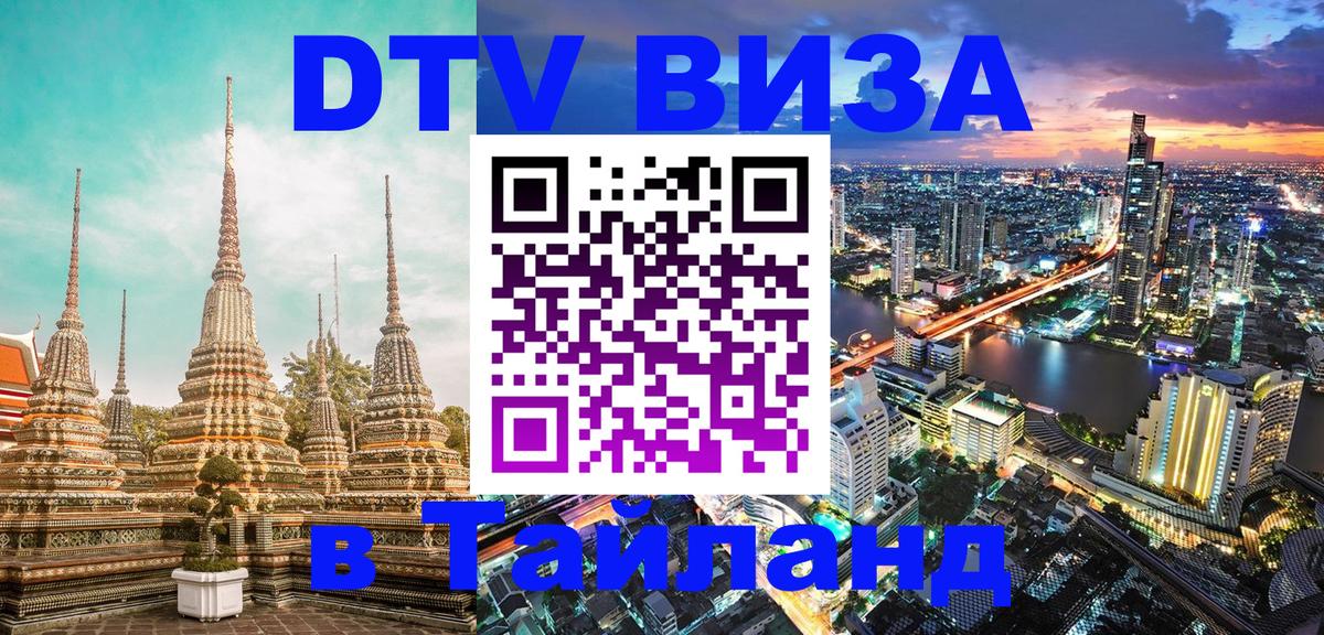 Сколько стоит DTV виза — актуальные цены, оформление даже без документов - 20.11.2025 